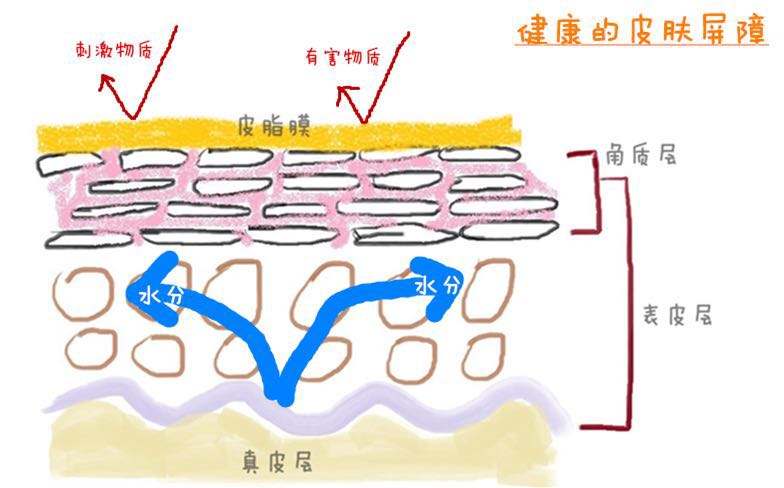 軍事迷的護(hù)膚解讀：我將合理清潔、保濕、防曬